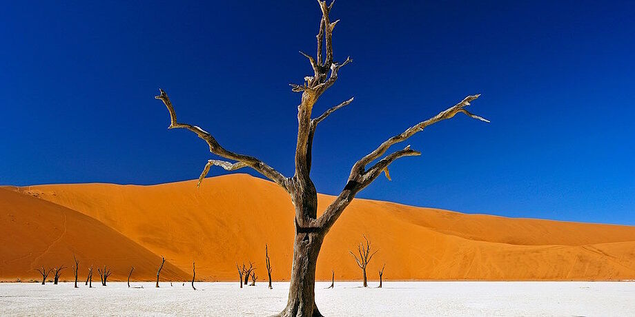 Wüstenansicht von Afrika