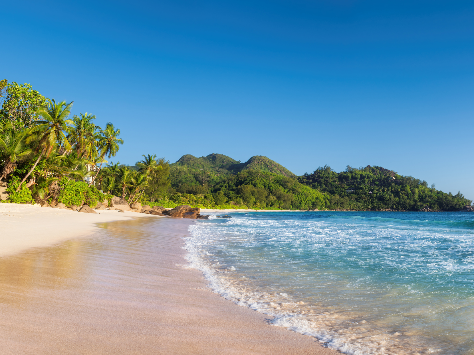 Foto Palmen am Sandstrand und blaues Meer